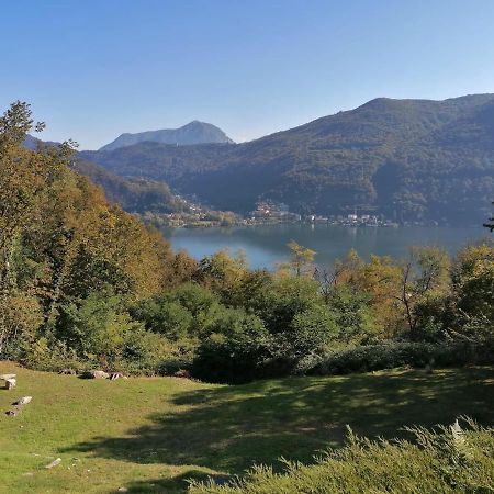 La Finestra Sul Lago Bed and Breakfast Brusimpiano Εξωτερικό φωτογραφία