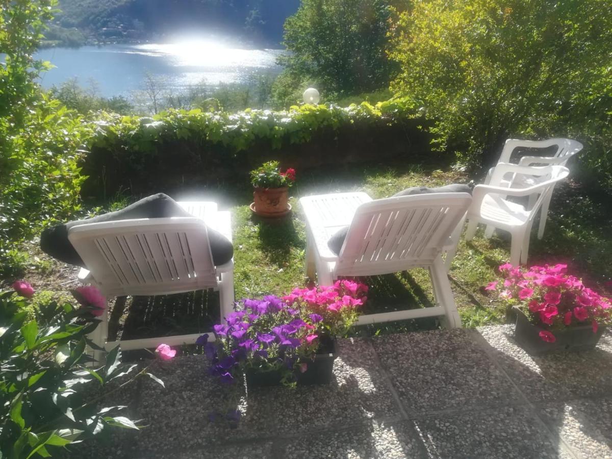 La Finestra Sul Lago Bed and Breakfast Brusimpiano Εξωτερικό φωτογραφία