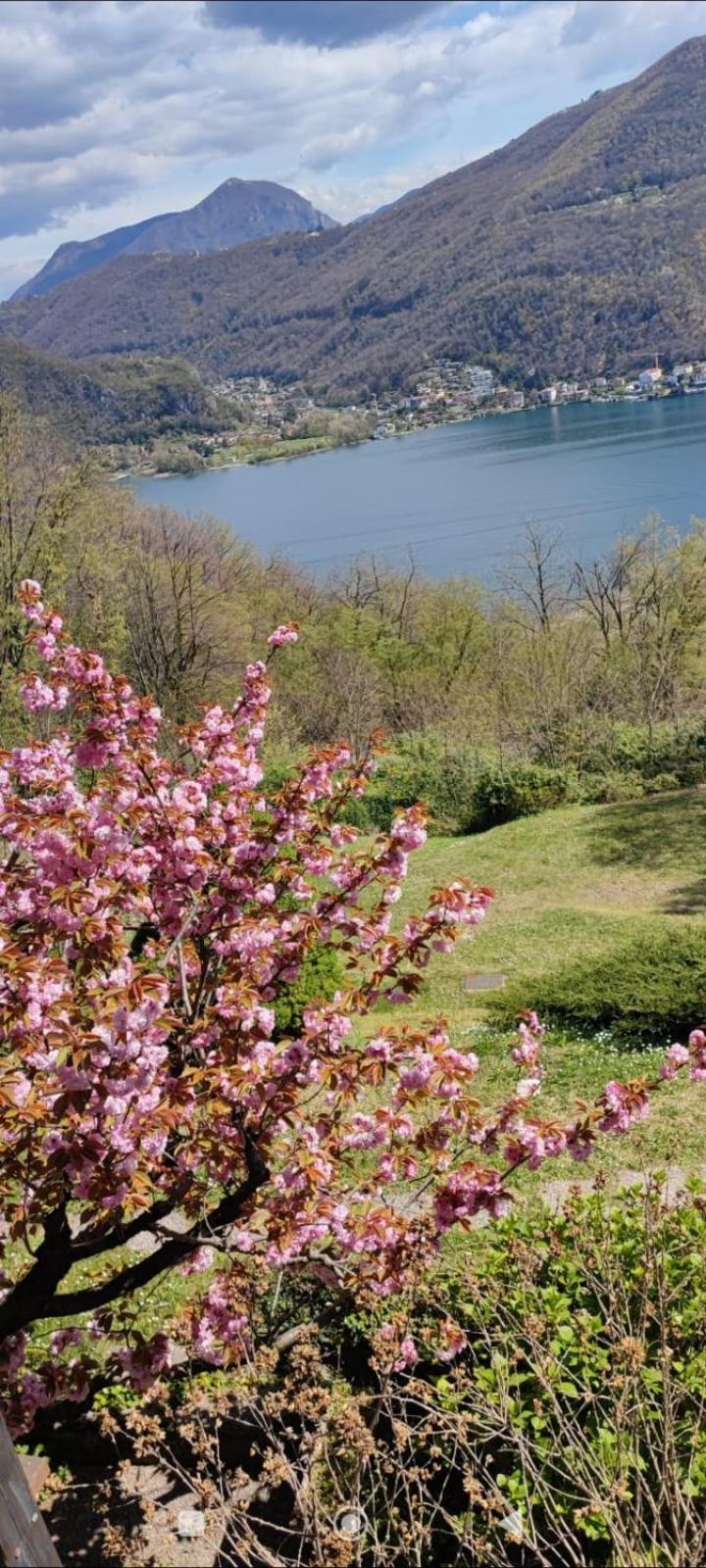 La Finestra Sul Lago Bed and Breakfast Brusimpiano Εξωτερικό φωτογραφία